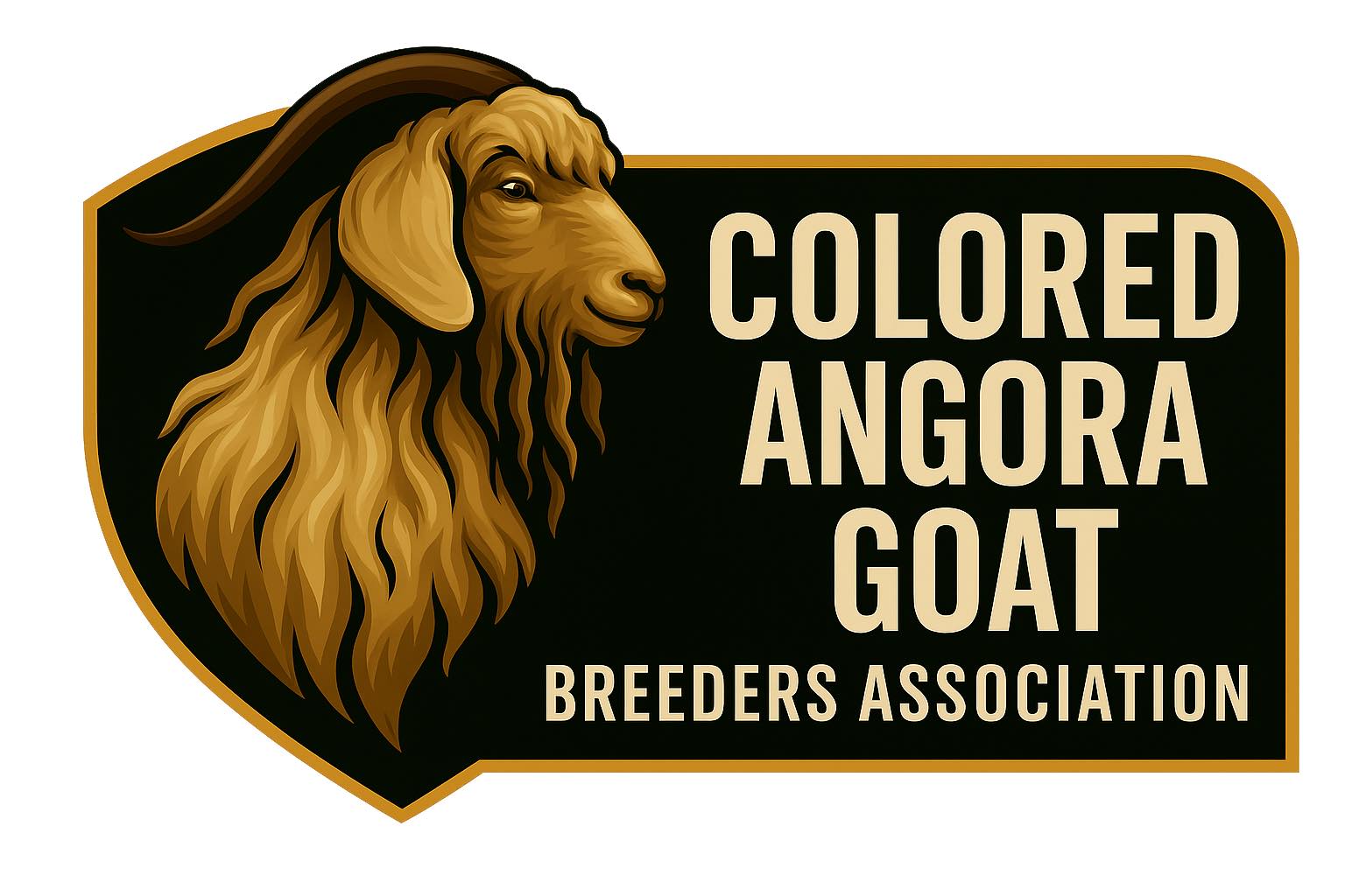 Colored angora goat from Hickory Hill Fiber Farm