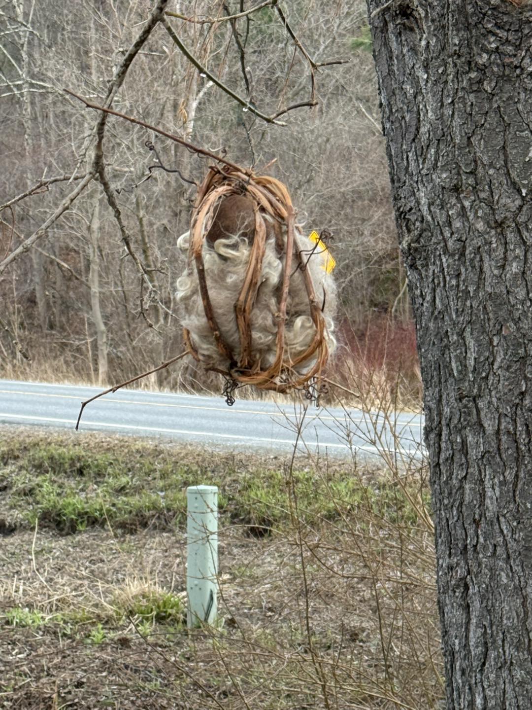 Hand-arranged fiber nest from Hickory Hill Fiber Farm