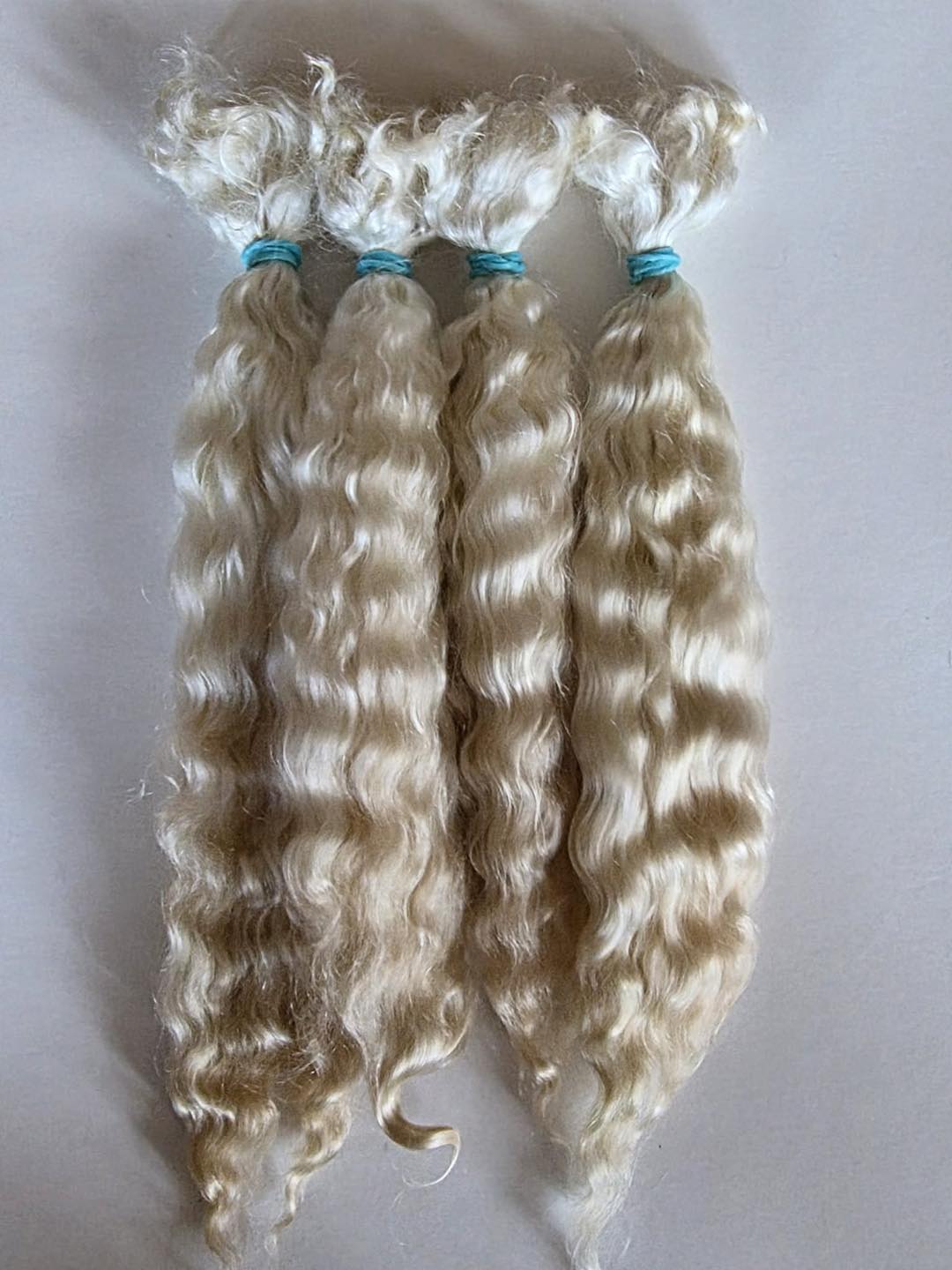 White llama fiber from Hickory Hill Fiber Farm