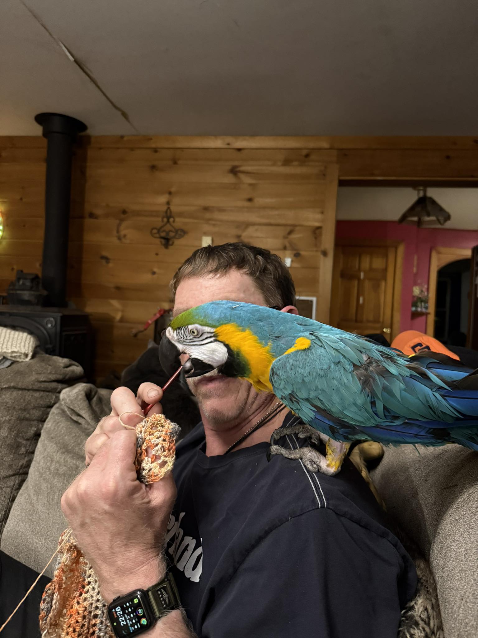 The farm parrot keeping an eye on the crocheting at Hickory Hill