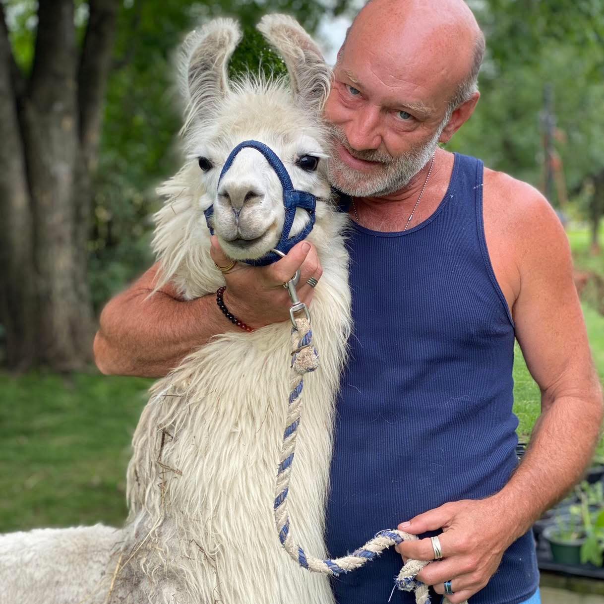 Paul Hastings with a llama at Hickory Hill Fiber Farm