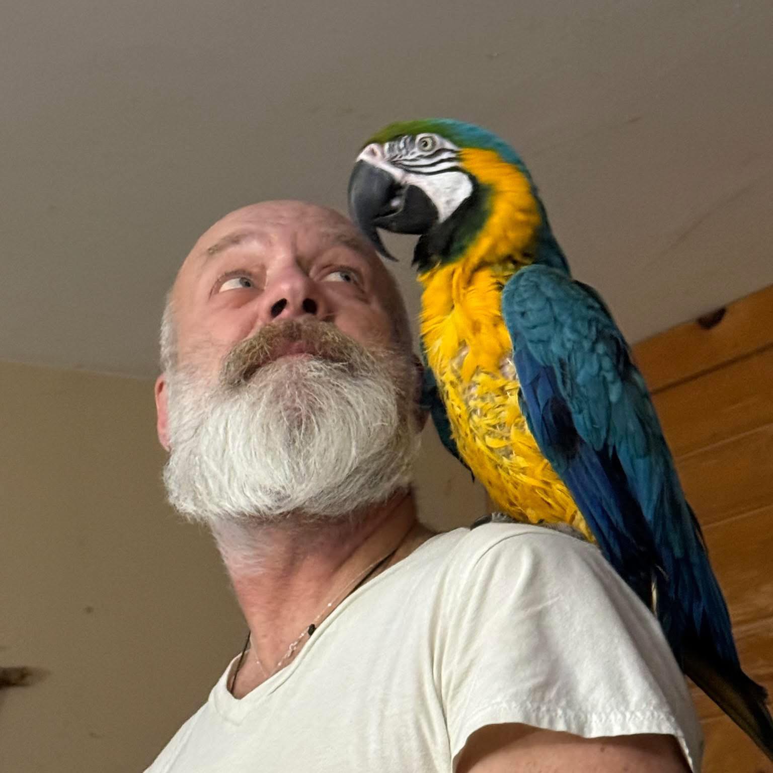 Paul with the farm parrot at Hickory Hill Fiber Farm